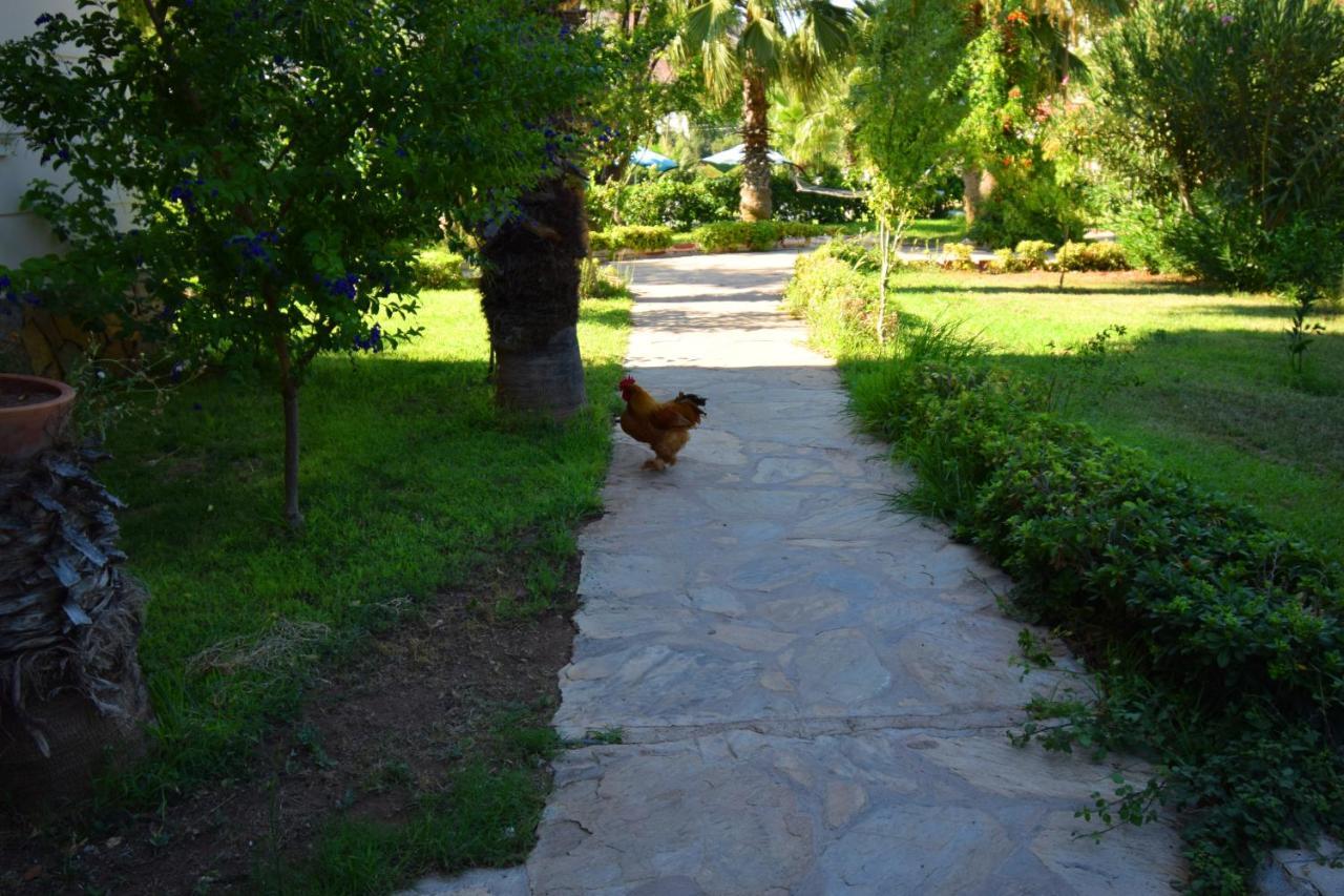 Hotel Adrasan Beach Club à Antalya Extérieur photo